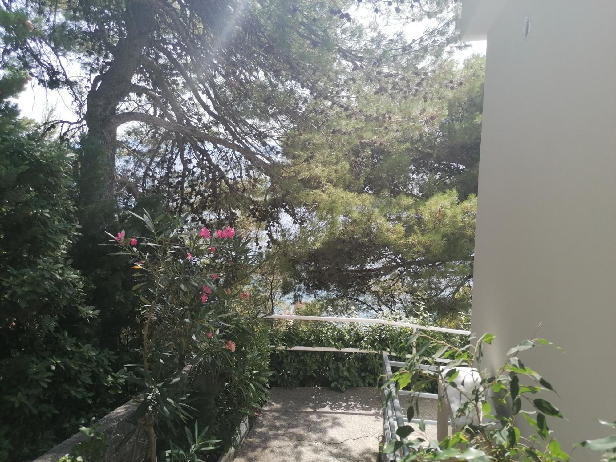 Apartmani Mares - 20 M From The Beach Brela Εξωτερικό φωτογραφία